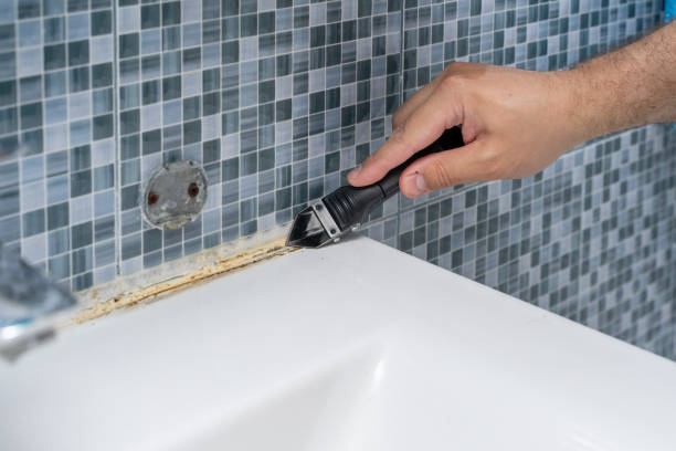Best Certified Mold Removal  in Sunset, LA