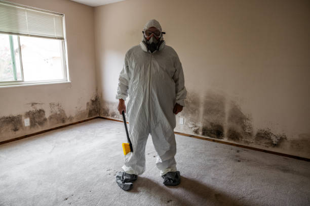 Best Mold Testing  in Sunset, LA
